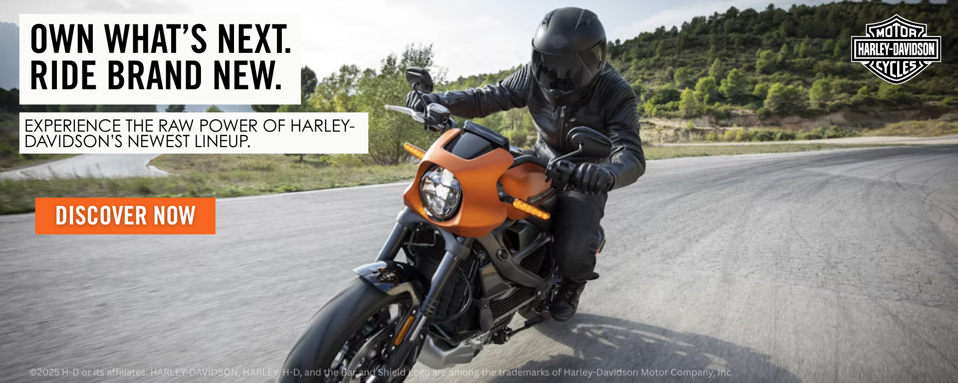 Barbed Wire Harley-Davidson